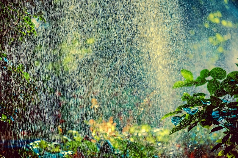 Fairy Dust Sprinklers